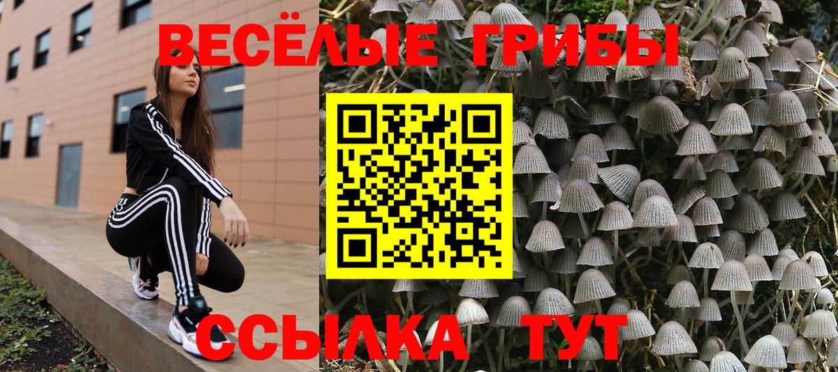 Галлюциногенные грибы ЛСД Рославль